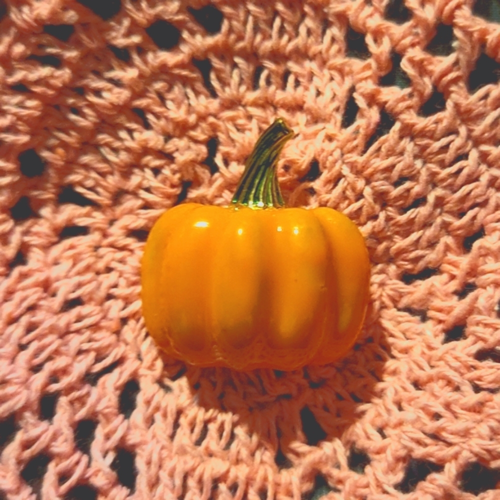 🌷pumpkin pin